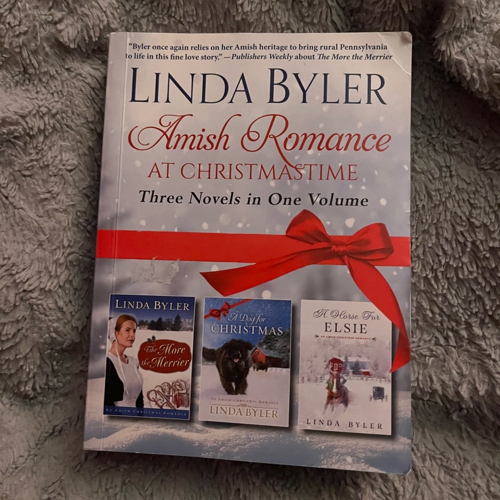 Amish Romance at Christmastime Book